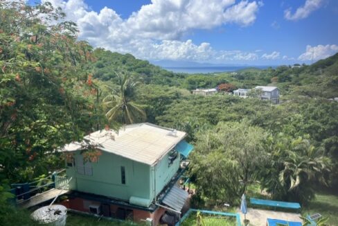Roof Cleaned 2