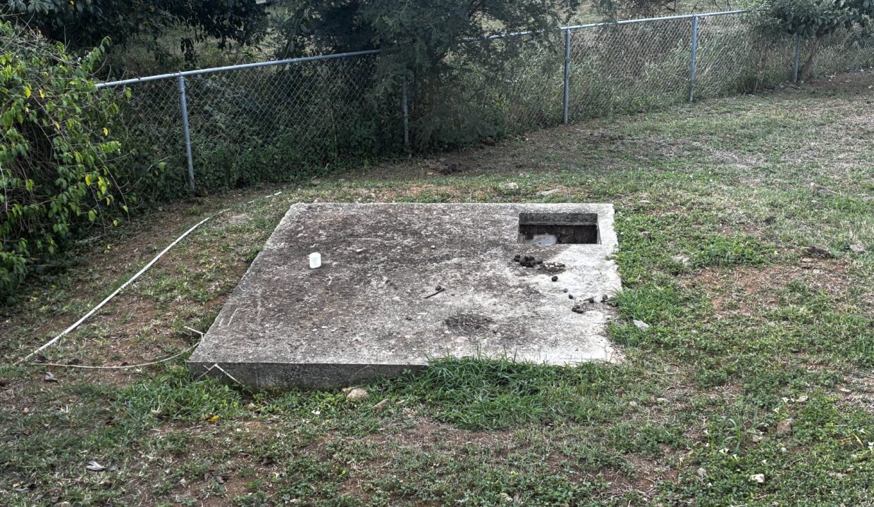 20260129_144546050_iOS_1