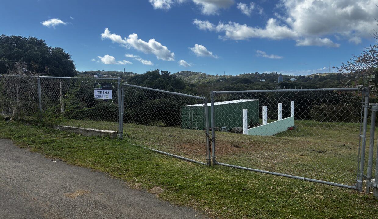 20260129_150821462_iOS_7